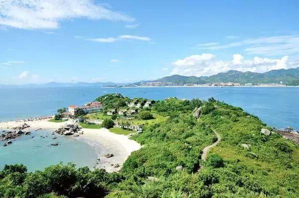 怜君孤秀植庭中:李商隐写一株小松树,就是在画自画像|周末读诗