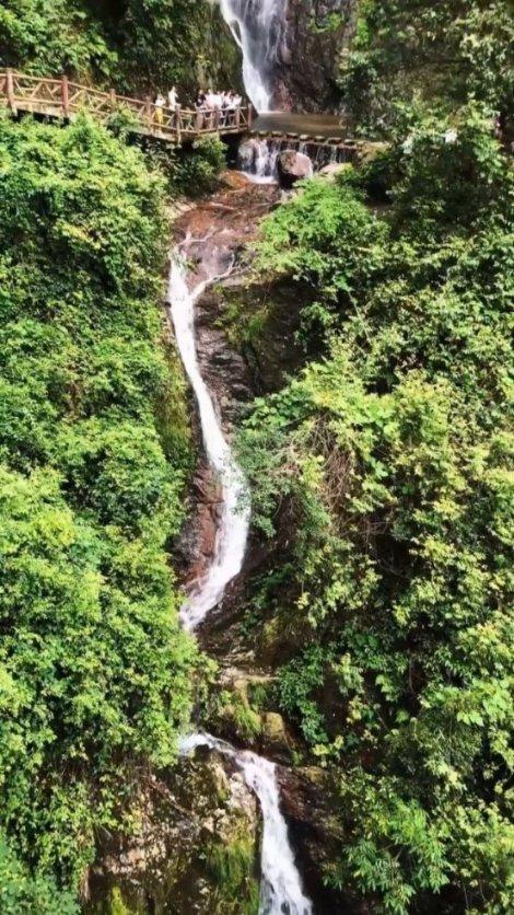 她是《新白娘子》的小青蛇，婚姻破裂后，一生替别人养娃，太苦了