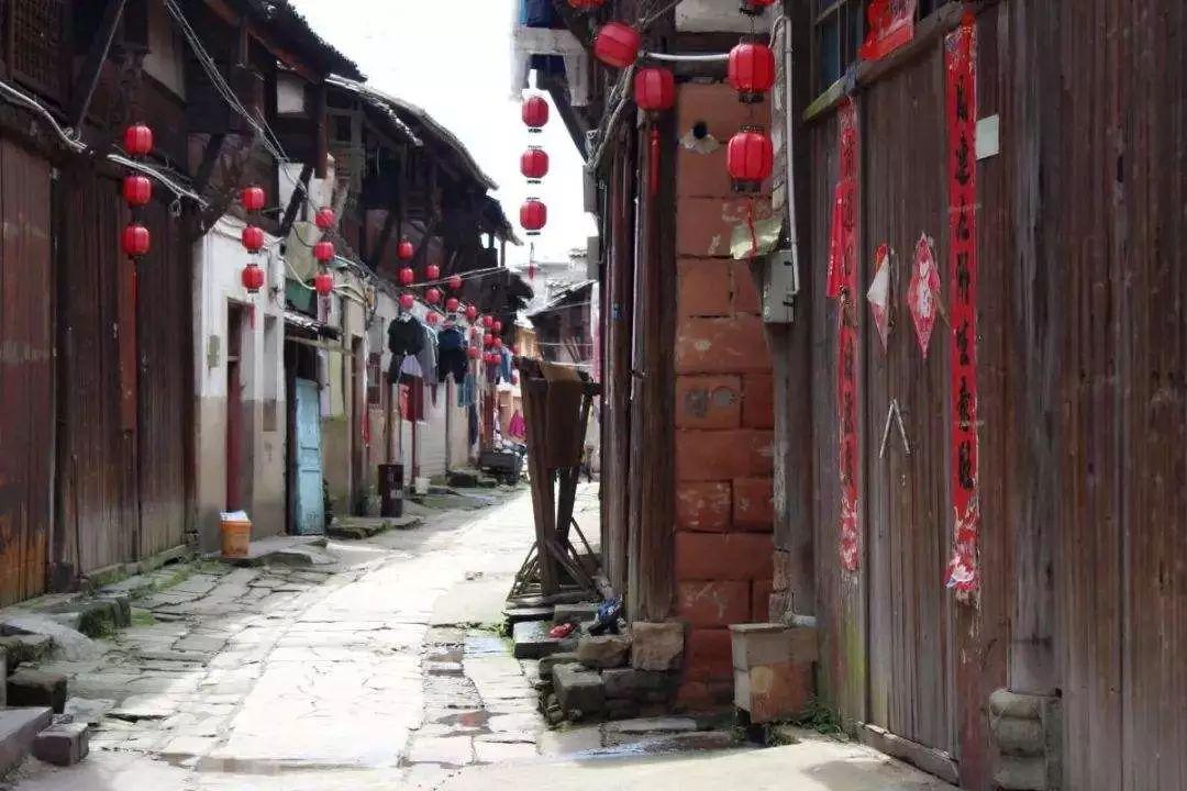 信阳毛尖什么品牌好游戏画面